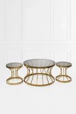 Luxury round smoked glass coffee table set with gold cage base including one center table and two side tables