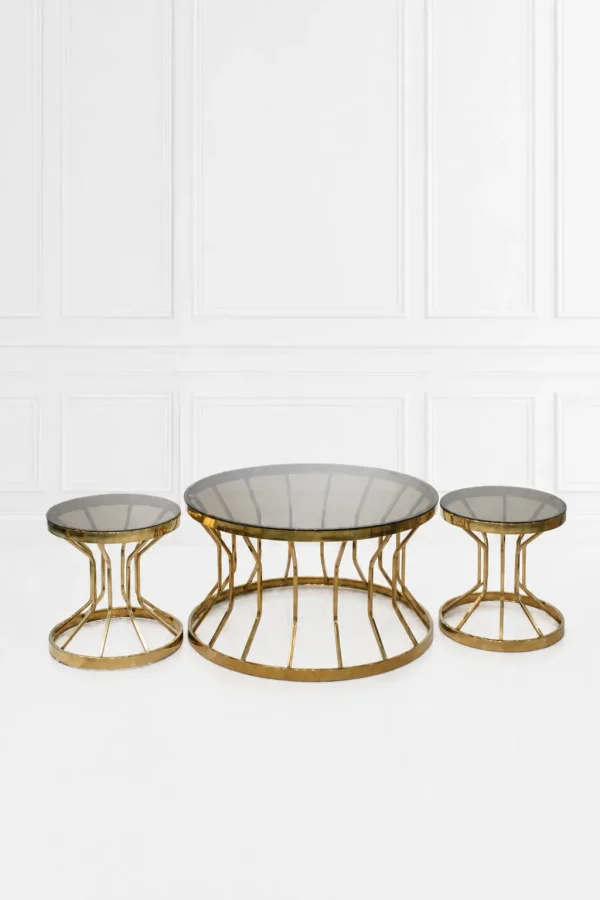 Luxury round smoked glass coffee table set with gold cage base including one center table and two side tables