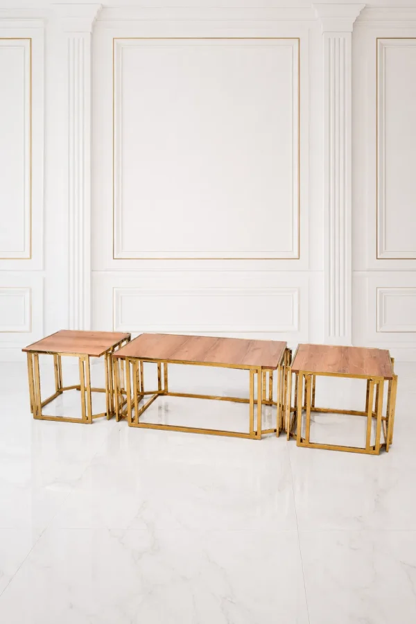Luxury 3-piece rectangular wooden coffee table set with gold geometric frame including one long center table and two side tables